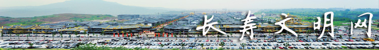 长寿文明网副本.jpg